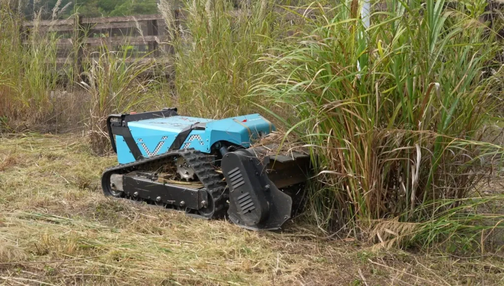 76f8eaa776d0c8a525c85b67f0d22b8b 1536x872.jpg (1)